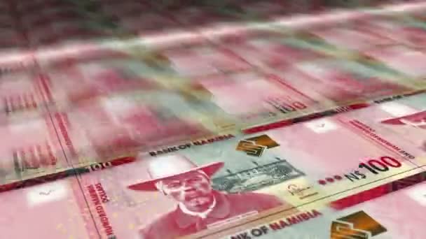 Namibia Dollar Money Sheet Printing Nad Banknotes Loop Print Seamless — Stock Video