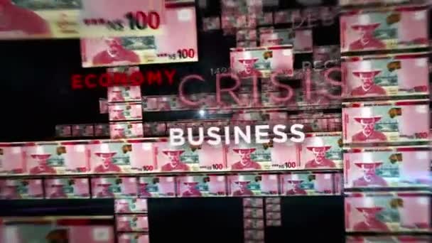 Namibia Dollar Money Loop Animation Camera Flying Nad Banknotes Finance — Wideo stockowe
