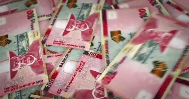 Namibia Dollar Growing Pile Money Nad Banknotes Loop Rotaring Seamless — Wideo stockowe