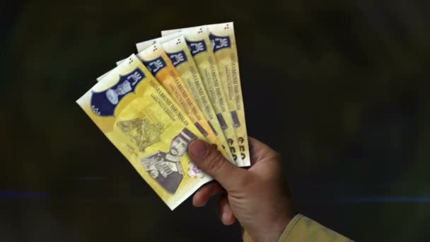 Brunei Dollar Money Holding Fan Banknotes Hand Bnd Paper Cash — стокове відео
