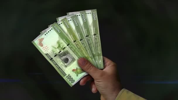 Ρουπία Της Σρι Λάνκα Χρήματα Θαυμαστής Των Τραπεζογραμματίων Στο Χέρι — Αρχείο Βίντεο