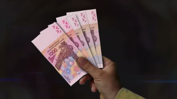 Westafrikanische Cfa Franc Geldholding Fan Von Banknoten Der Hand Xof — Stockvideo