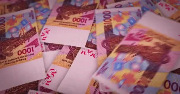 West African Cfa Franc Growing Pile Money Xof Banknotes Loop — Stock Video