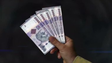 Tanzanya şilini elinde tutuyor. Eldeki banknotların hayranıyım. TZS kağıt para. Gelir, başarı, iş, vergi, ekonomi ve finans kavramı.