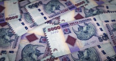 Tanzanya şilin yığını. 3D resim. TZS finans, ekonomi krizi, enflasyon ve iş dünyası kavramını destekliyor.