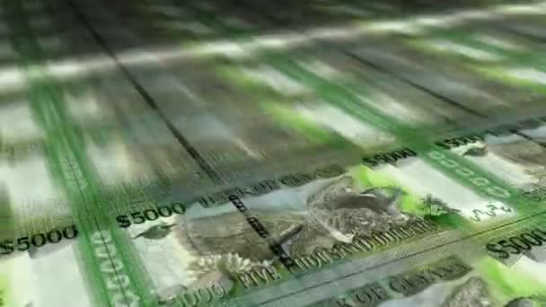 Stampa Fogli Denaro Del Dollaro Della Guyana Stampa Loop Banconote — Video Stock