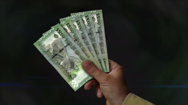 Dollaro Guyana Possesso Denaro Ventilatore Banconote Mano Contanti Carta Della — Video Stock