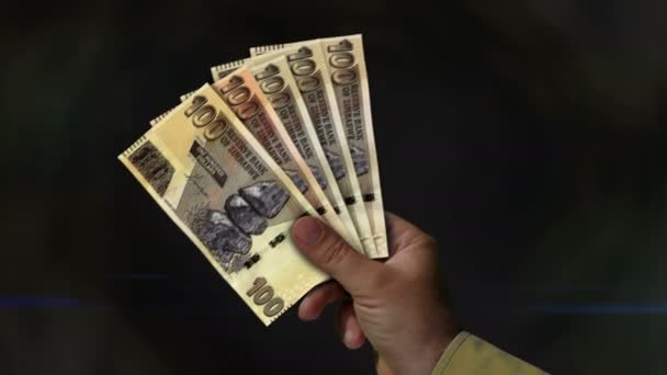 Simbabwe Dollar Money Holding Fan Von Banknoten Der Hand Simbabwische — Stockvideo