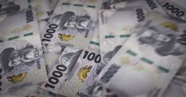 Kırgızistan 'da para tutuluyor. Eldeki banknotların hayranıyım. Kırgız KGS kağıt para. Gelir, başarı, iş, vergi, ekonomi ve finans kavramı.