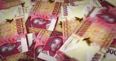Gine Frangı 'nın parası duruyor. Eldeki banknotların hayranıyım. Gine GNF kağıt parası. Gelir, başarı, iş, vergi, ekonomi ve finans kavramı.