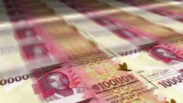 Dinero Franco Guineano Abanico Billetes Mano Papel Guineano Gnf Efectivo — Vídeo de stock