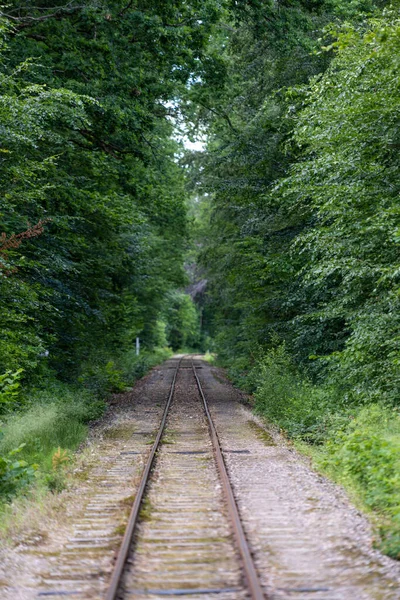 看着一条笔直的老铁路线 穿过一片森林 — 图库照片