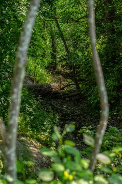 Bisiklet yolunun üzerinde alçak sonbahar güneşi..