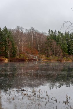 sonbahar ormandaki küçük gölet.
