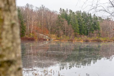 sonbahar ormandaki küçük gölet.