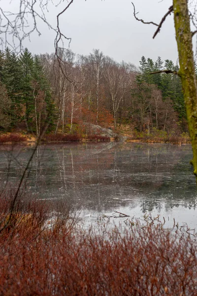 在秋天的森林中的小池塘 — 图库照片