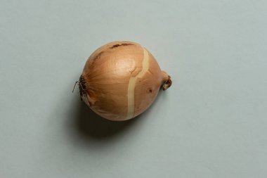 Yukarıdan bakıldığında soğan Allium cepa.