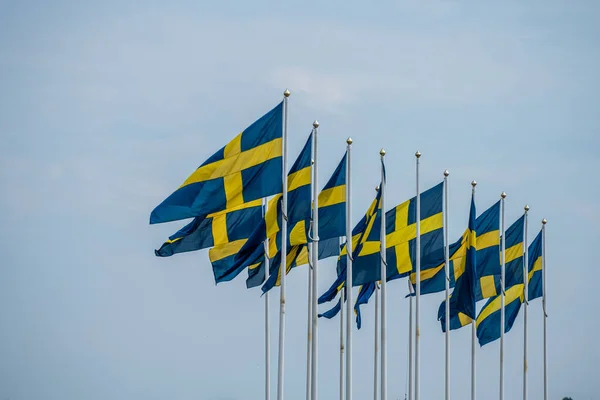 A lot of swedish flags flying from flag poles.