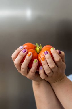 Hands with multi coloured nails holding a large tomatoe.