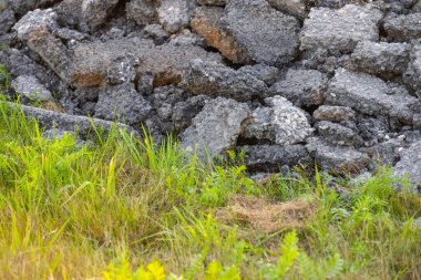 Chunks of old asphalt dumped in a grass field.