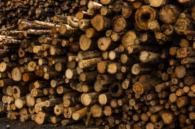 Büyük bir odun yığını gemiyle gönderilmeye hazır..