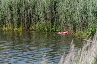 A red and white life bouy floading in the reeds of a moat.