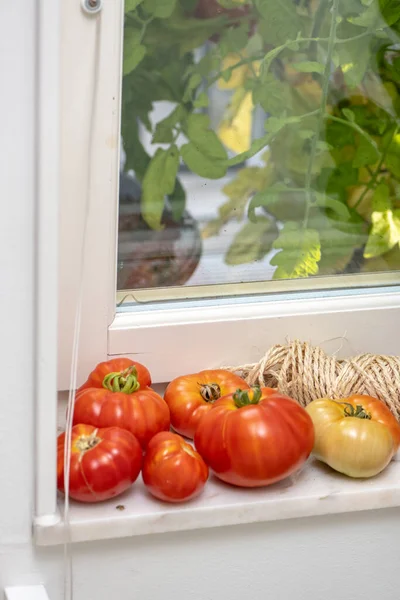 Ripe red tomatoes on the ledge of a window.