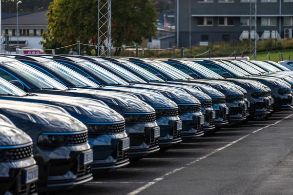 Long row of black cars ready for delivery at a car dealership.