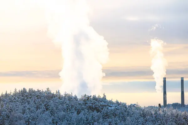 Steam rising from industry behind winter forest.