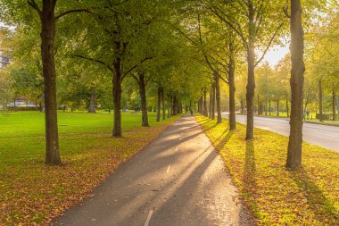 Bisiklet yolunun üzerinde alçak sonbahar güneşi..