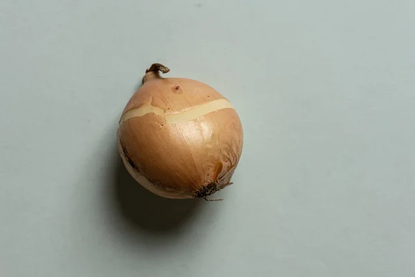 Hagyma Allium Cepa Felülről Nézve — Stock Fotó