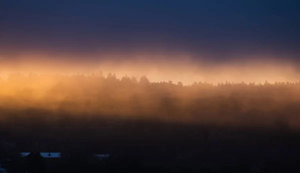 Snow Early Sunrise Forest — Fotografia de Stock