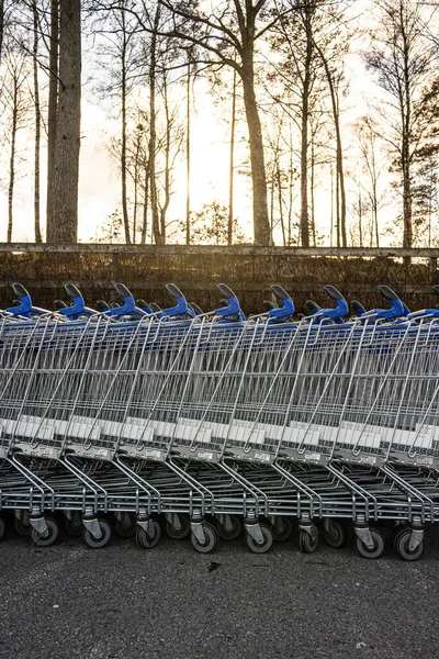 Müşterileri Bekleyen Uzun Sıra Boş Alışveriş Arabaları — Stok fotoğraf