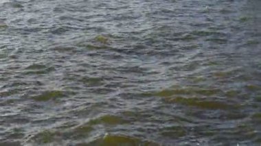 Nehirde dalgalar esiyor.