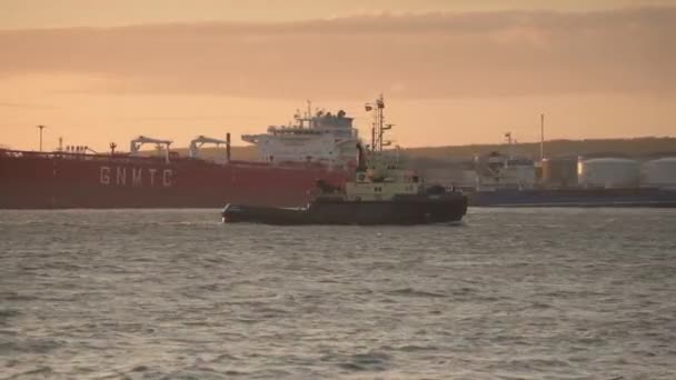 Човен Fenja Повертається Базу Після Заходу Сонця — стокове відео