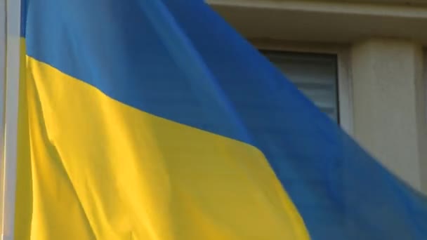 風になびくウクライナ国旗 — ストック動画