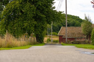 Bir ağaç ve ahırı geçen dar bir yola bakıyorum..