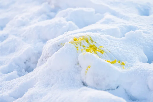 クラシック余分なおいしい黄色の雪 — ストック写真