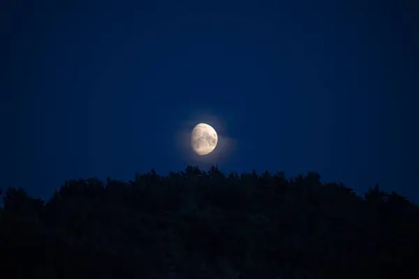 Φεγγάρι Που Ανατέλλει Πάνω Από Ένα Δάσος — Φωτογραφία Αρχείου