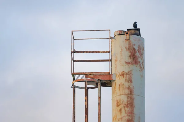 Crow Sitting Top Chimney — Foto Stock