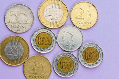 Mor zemin üzerinde Macar forint sikkelerinin çeşitlendirilmesi.