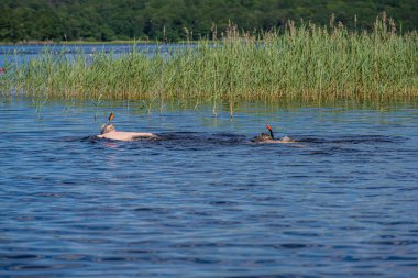 Gölde yüzen iki çocuk.