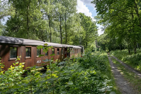 2022年7月2日 瑞典阿林萨斯 老式蒸汽机车穿越森林 — 图库照片