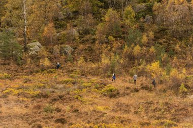 Molndal, İsveç - 17 Ekim 2021: Ormanda yürüyen dört kişi.