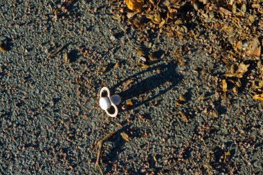 Pembe emzik asfalt ve çakıl yoluna düşmüş..