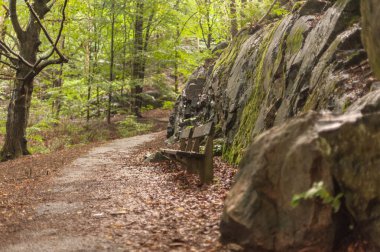 Parkta dar bir asfalt yolda banklar.