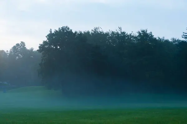 Kora Reggeli Köd Egy Parkban — Stock Fotó