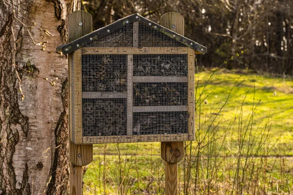 Insect hotel by a field.