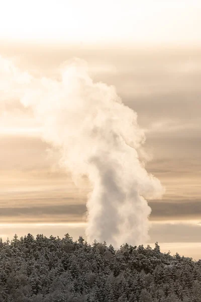 Steam Rising Industry Winter Forest —  Fotos de Stock