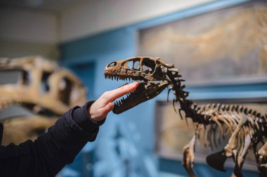 Müzede dinozorun dişlerinin arasında el ele tutuşmak..